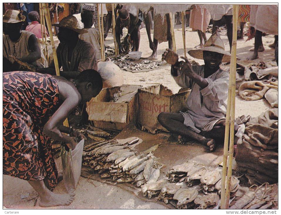 AFRIQUE NOIRE,AFRICA,AFRIKA,CAMEROUN,CAMEROON,MOKOLO,MARCHE AUX POISSONS DE KOZA,METIER, - Camerun