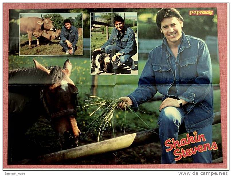 Poster Shakin Stevens  -  Ca. 56 X 41 Cm  -  Von Pop Rocky Ca. 1982 - Plakate & Poster