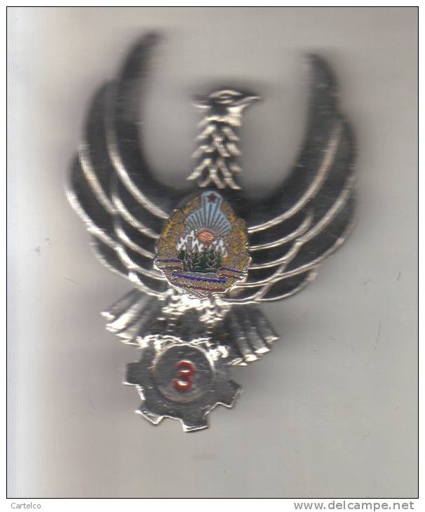 Romania - Military Badge - Aviation - Technical Support - Specialist 3rd Class - Airforce