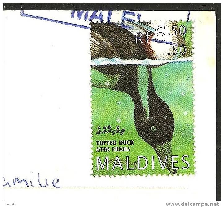 MALDIVES Photo M. Jamal Male - Maldiven