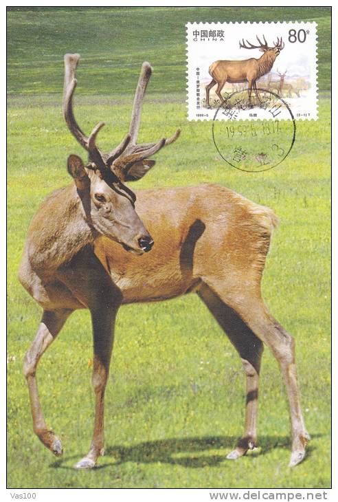 DEER, 1999, CM. MAXI CARD, CARTES MAXIMUM, CHINA - Game