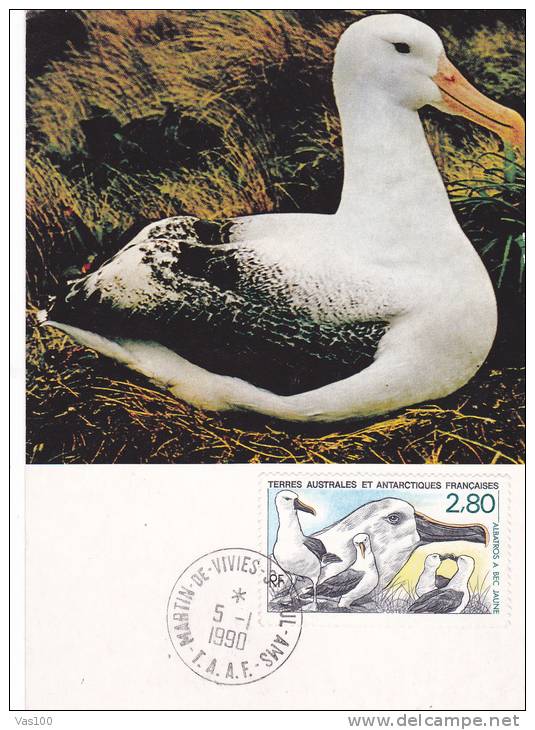 DUCK, 1990, CM. MAXI CARD, CARTES MAXIMUM, FRANCE - Cygnes