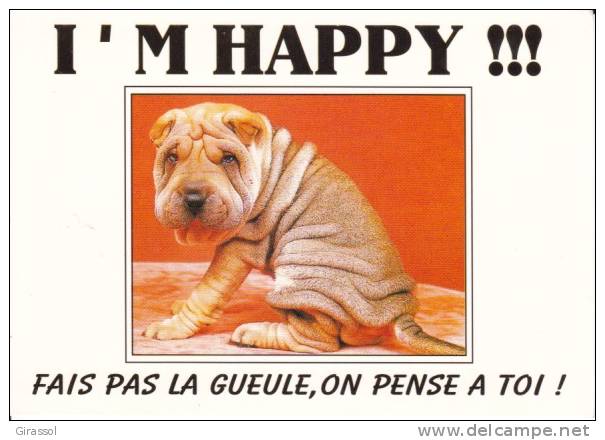 CPM CHIEN SHARPEI I' M HAPPY Fais Pas La Gueule On Pense à Toi Humour Si Bandes Jaunes Dues Au Scan - Chiens