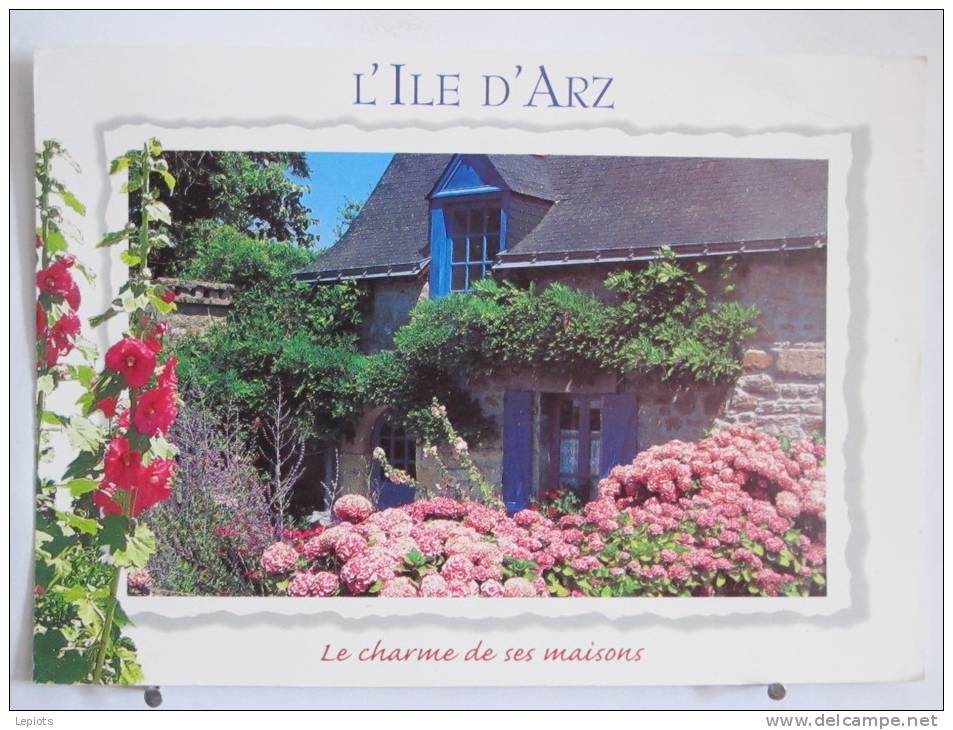 56 - Ile D' Arz - La Maison Au Mille Fleurs - Scan Recto-verso - Ile D'Arz