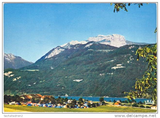 74. Cpsm. Gf. LAC D'ANNECY. Camping Caravaning L'Idéal - Annecy