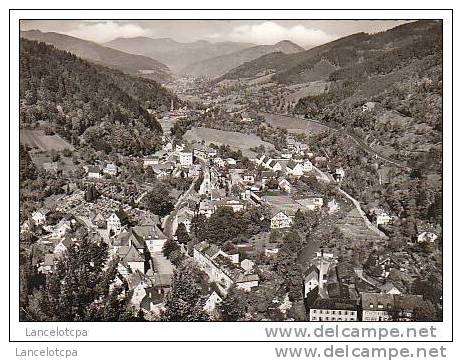 BLICK VOM SCHLOSS INS GUTACHTAL - Gutach (Schwarzwaldbahn)