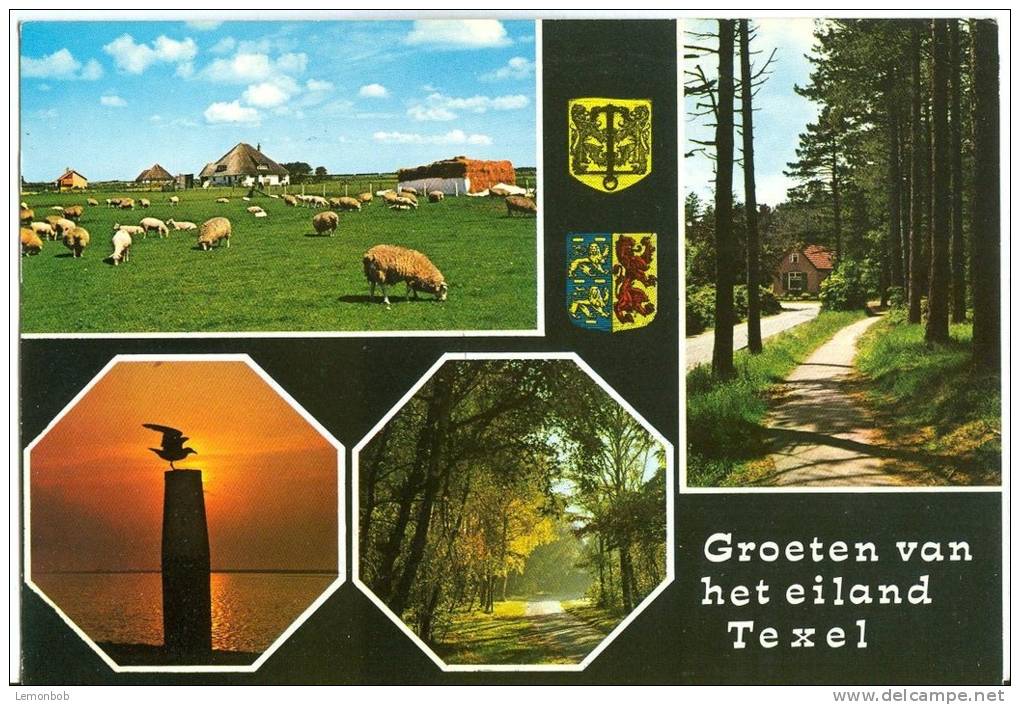Holland, Netherlands, Groeten Van Het Eiland Texel, 1975 Used Postcard [P9103] - Texel