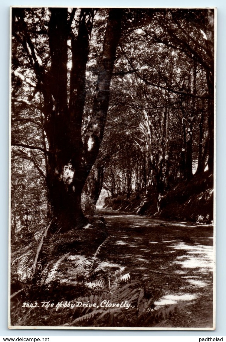 POSTCARD CLOVELLY DEVON THE HOBBY DRIVE SUNSHINE SERIES 1938 REAL PHOTO RPPC RP - Clovelly