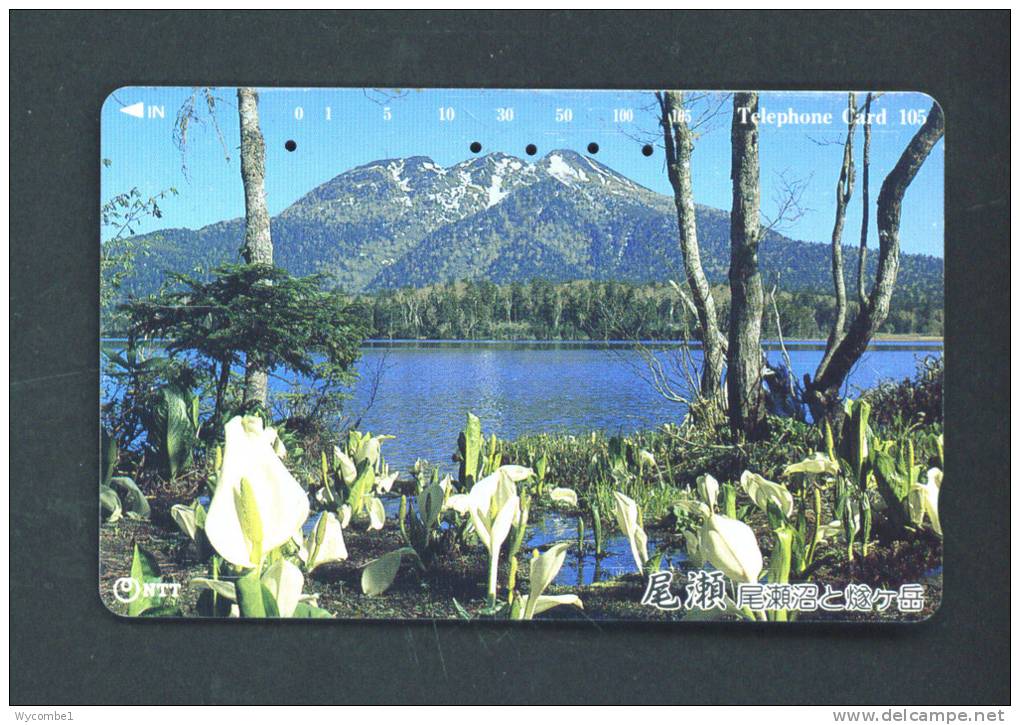 JAPAN  -  Magnetic Phonecard As Scan (251-319) - Japón