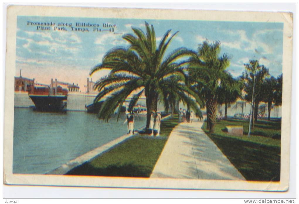 USA, Etats Unis, Tampa, Promenade Along Hillsboro River, Plant Park, CP Ayant Circulé En 1923 - Tampa