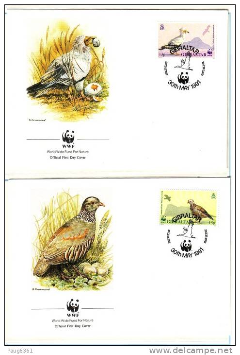 WWF 4 FDC 1991 GIBRALTAR OISEAUX  YVERT N°629/32 - FDC