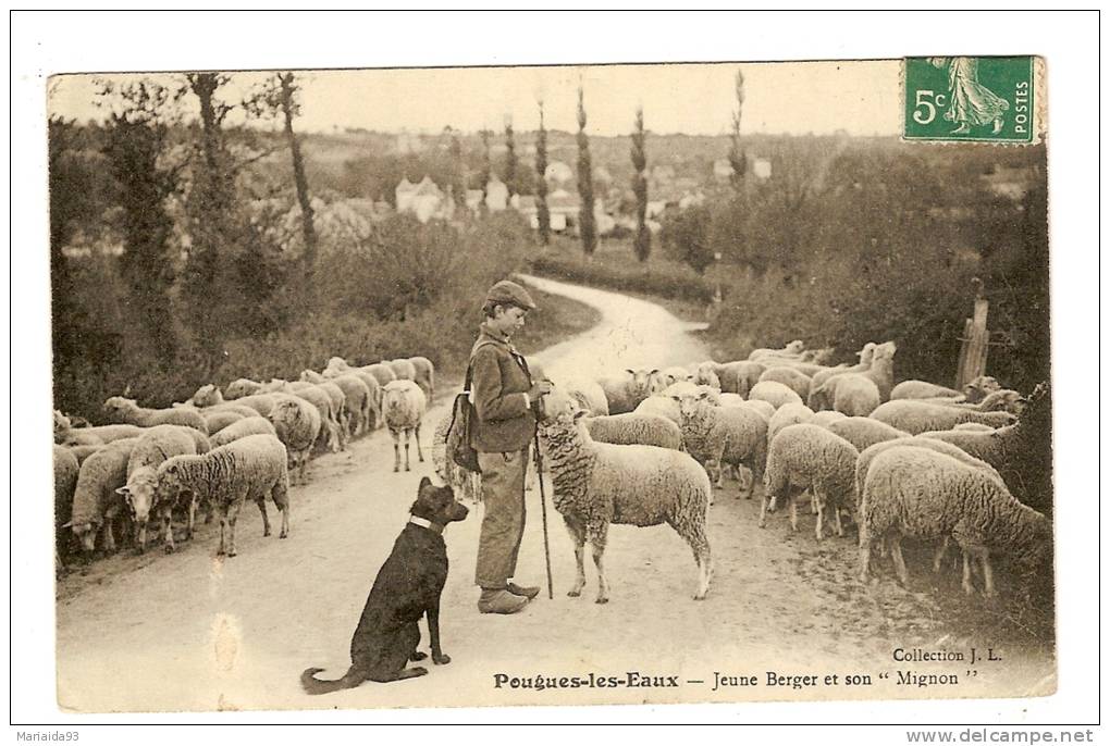 POUGUES LES EAUX - NIEVRE - JEUNE BERGER ET SON MIGNON - TROUPEAU - CHIEN - MOUTON - ANIMATION - Pougues Les Eaux