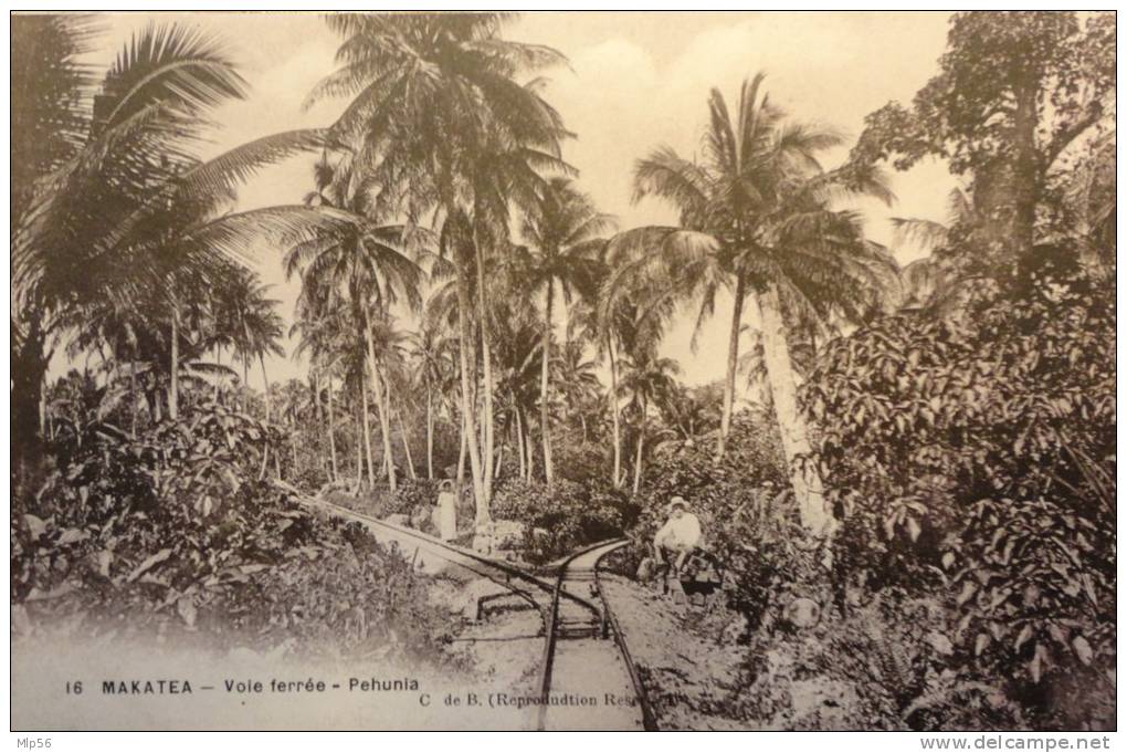 TAHITI POLYNESIE FRANCAISE  ILE DE MAKATEA  N°16    VOIE FERREE PEHUNIA - Tahiti