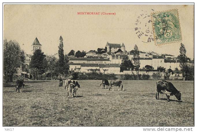 16 MONTMOREAU VACHES AU PATURAGE - Altri & Non Classificati