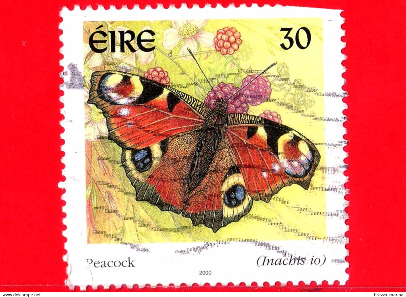 IRLANDA - Usato - 2000 - Farfalla - Peacock Butterfly (Inachis Io) - 30 - Gebraucht