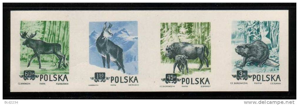 POLAND 1954 SLANIA RARE BEAVER & ANIMALS COLOUR PROOF STRIP OF 4 Bison Beaver Deer Moose Antelope Goat Mountians Forests - Rongeurs