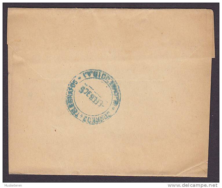 Argentina Postal Stationery Ganzsache Entier Wrapper Bande Journal 1906? To BUENOS AIRES (2 Scans) - Ganzsachen