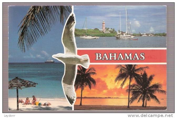 Bahamas - Vacation Paradise - Bahamas