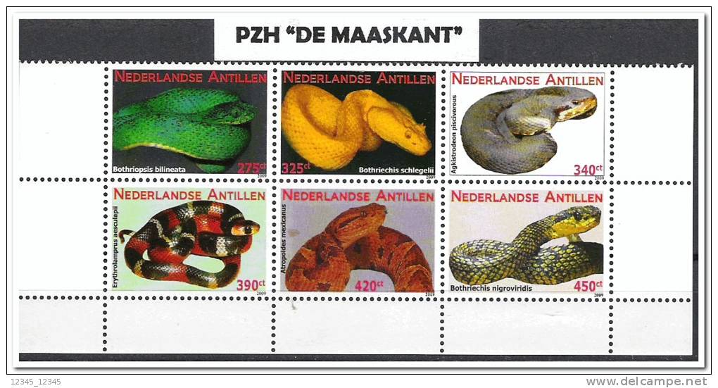 Nederlandse Antillen Postfris MNH 2009 Slangen, Snakes - West Indies