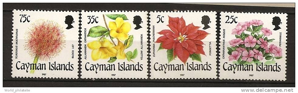 Caïmanes Cayman 1987 N° 610 / 3 ** Fleurs, Euphorbia Pulcherrima, Catharanthus Roseus, Allamanda Cathartica, Scadoxus - Kaimaninseln