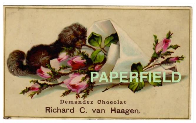 Chromo "Demandez Le Chocolat Richard C. Van Haagen" - Petit Chien Et Bouquet De Roses - Altri & Non Classificati