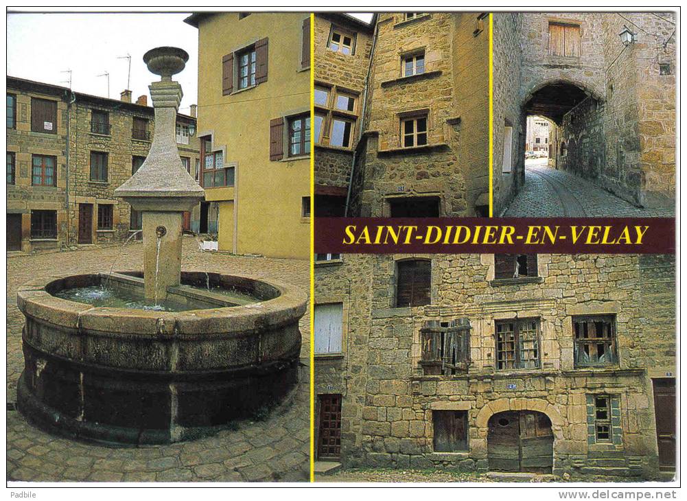 Carte Postale 43. Saint-Didier En Velay  La Fontaine  La Toune  Trés Beau Plan - Saint Didier En Velay