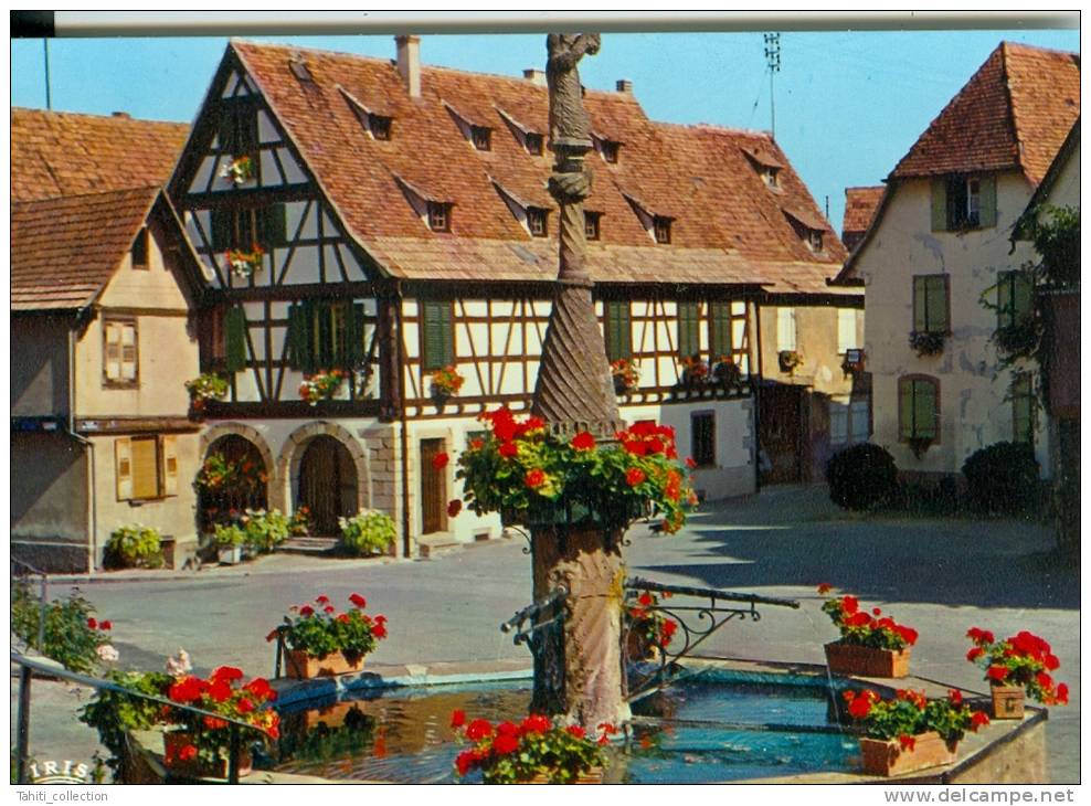 DAMBACH-la-VILLE - Fontaine Fleurie - Dambach-la-ville