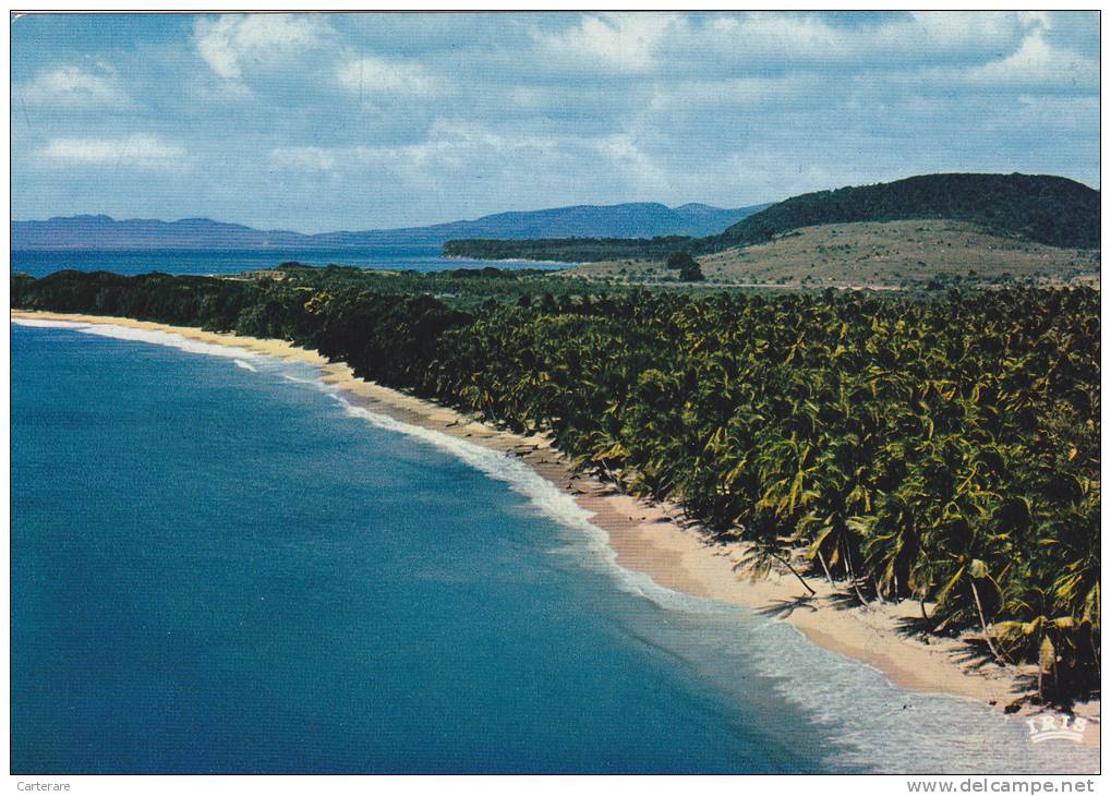 Ile De La Réunion,ile Française,outre Mer,archipel Des Mascareignes,océan Indien,ile,antilles,plage,cocotier - Autres & Non Classés