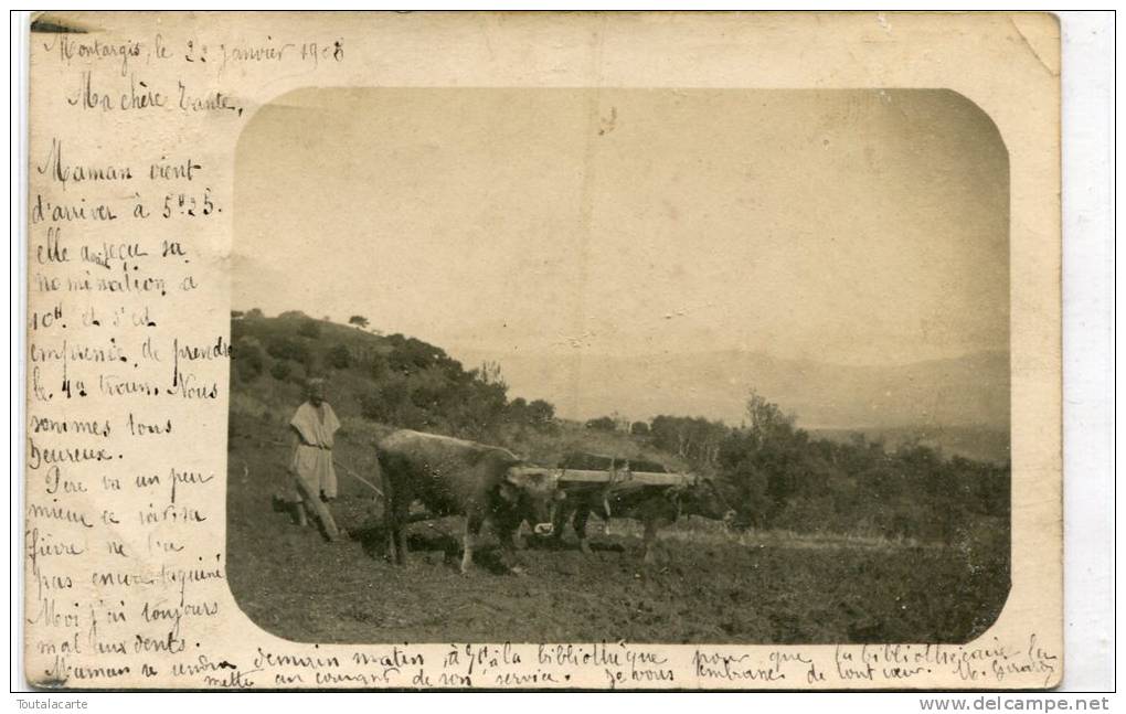 CPA CARTE DONT LA PHOTO EST D ORIGINE INCONNUE écrite De Montargis En 1905 Le Paysage N'est Pas Du Loiret - Photos