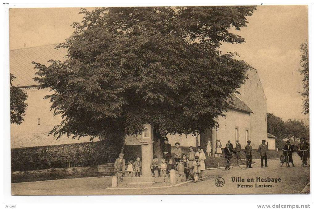 20882  -   Ville  En  Hesbaye  Ferme  Loriers -  Environs  De  Braives - Braives