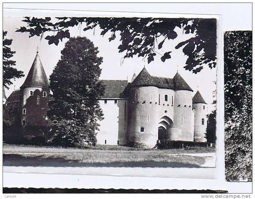 18  AINAY  LE VIEIL  LE CHATEAU - Ainay-le-Vieil