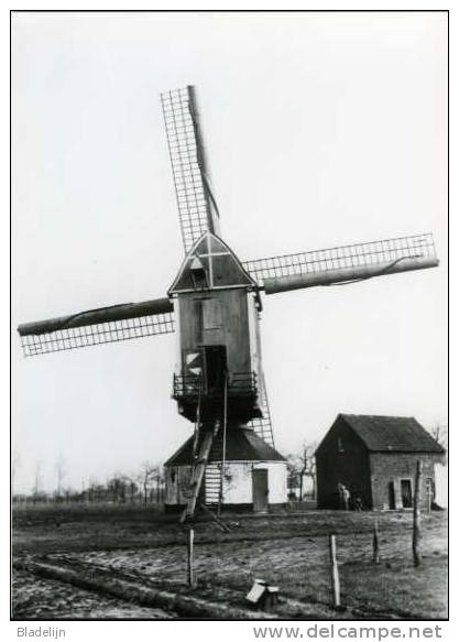 GIERLE Bij Lille (Prov. Antwerpen) - Molen/mühle/moulin/mill - Verdwenen Spekmolen (±1935) Met Verdekkerde Wieken. TOP! - Lille