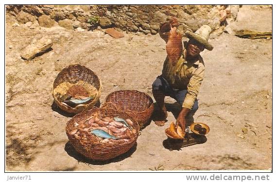 Martinique : Pêcheur De La Caravelle - La Trinite