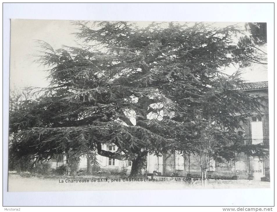 Le Chateau De SAIX Près De CASTRES - Un Coin Du PARC - Castres