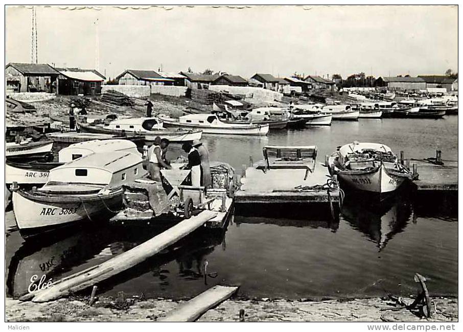 Gironde  -ref Gd Format -ref B681- Bassin D Arcachon -le Port De La Teste - Travaux Ostreicoles -ostreiculture - - Autres & Non Classés