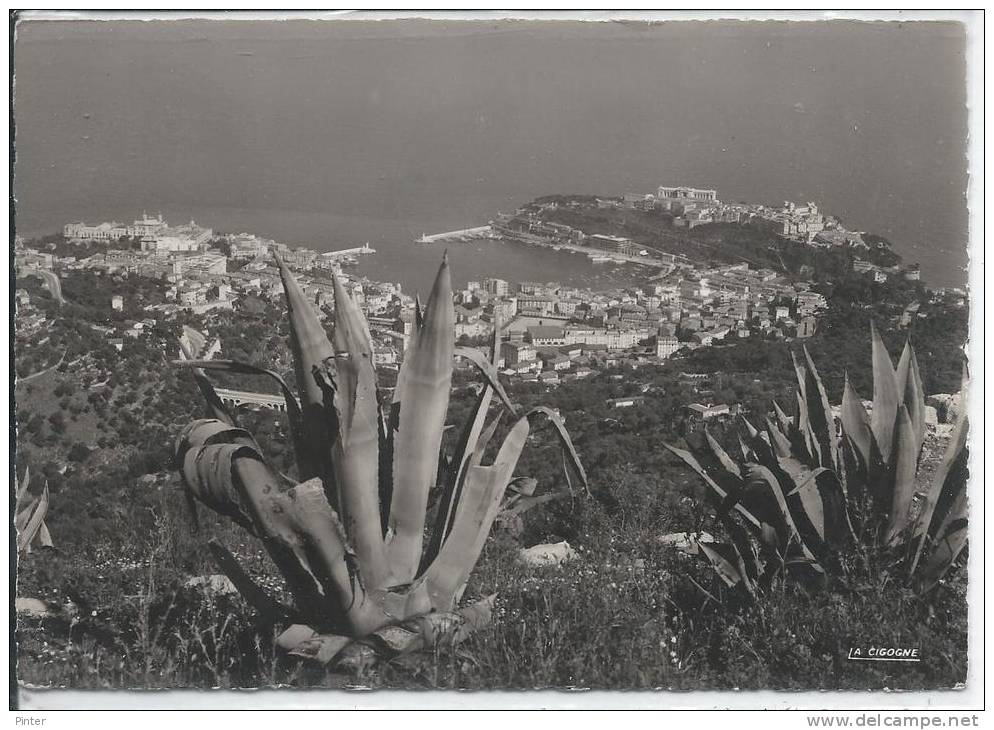 PRINCIPAUTE DE MONACO - Vue De La Turbie - Autres & Non Classés