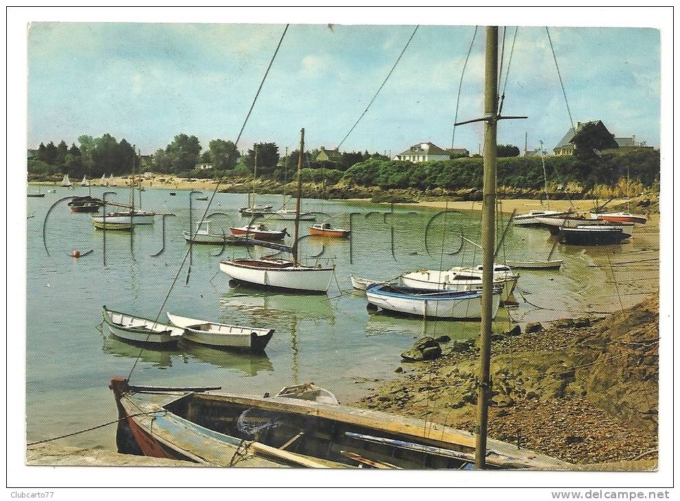 Saint-Jacut-de-la-mer (22) : Les Bateaux Dans Le Port Et Vue Sur La Plage De La Pissotte En 1981 (animée). - Saint-Jacut-de-la-Mer