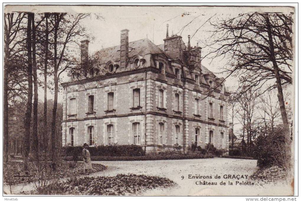 18 Environsde Graçay Château De La Pelotte - Graçay