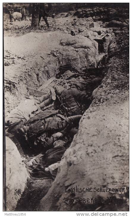 CP Photo ZONNEBEKE - Cadavres De Soldats Anglais (A10, Ww1, Wk1) - Zonnebeke