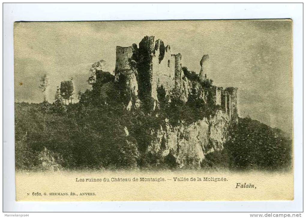 Falaën - Les Ruines Du Château De Montaigle - Vallée De La Molignée - Onhaye