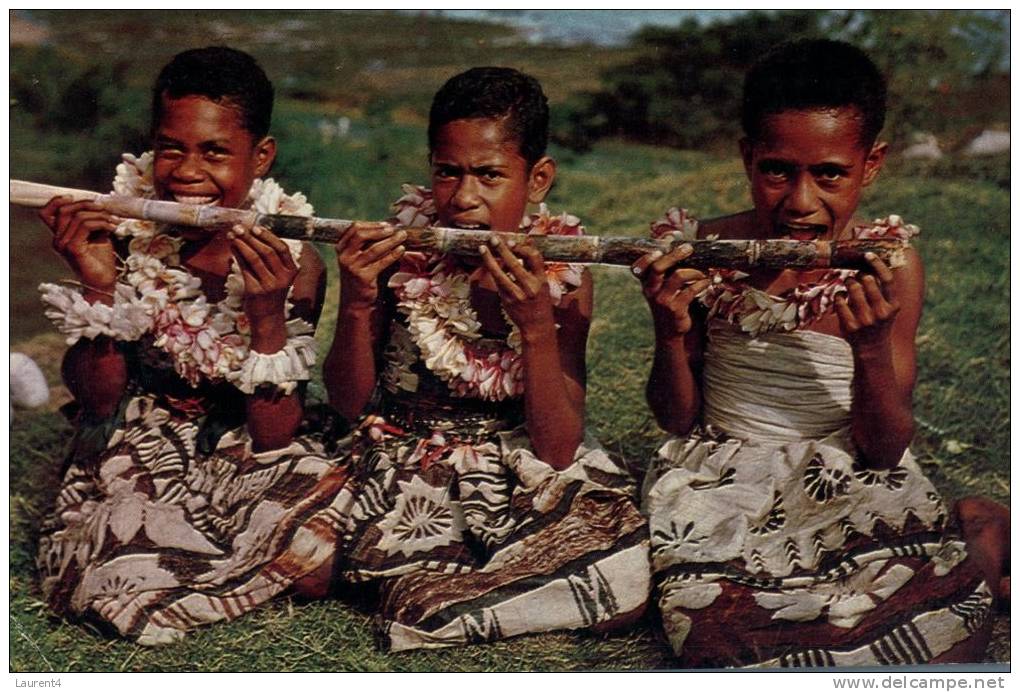 (222) Fidji Island - Ile De Fiji - Figi