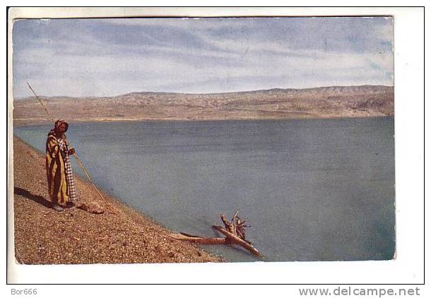 GOOD OLD POSTCARD - The Death Sea - Jordanie