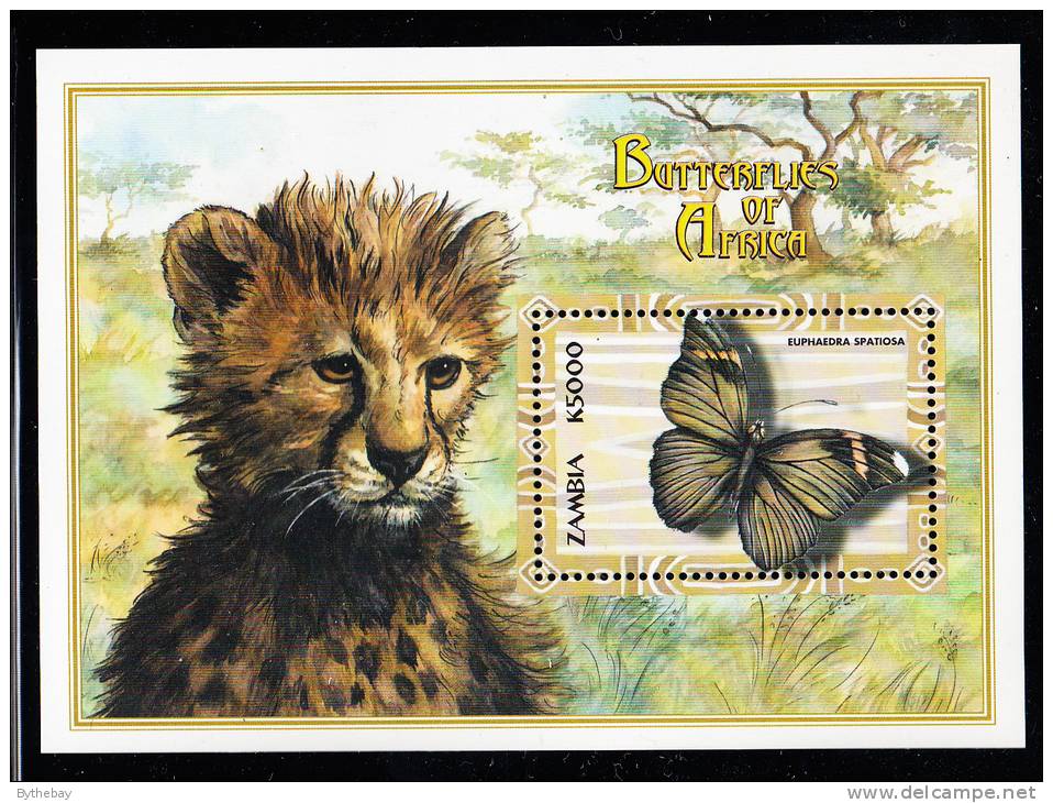 Zambia MNH Scott #869 Souvenir Sheet 5000k Euphaedra Spatiosa - Butterflies Of Africa - Zambie (1965-...)