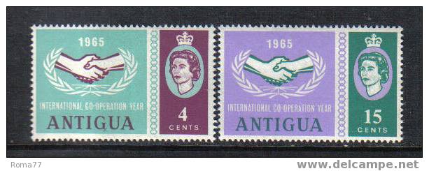 624 - ANTIGUA 1965 , International Cooperation Year  *** - 1960-1981 Autonomia Interna