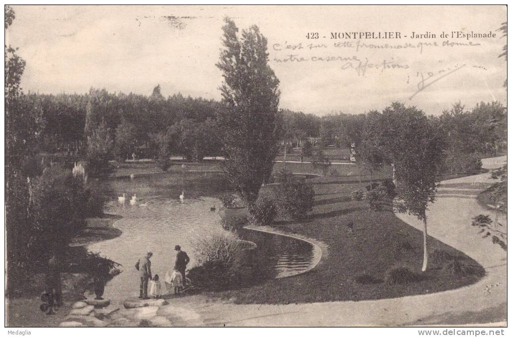MONTPELLIER - Jardin De L'esplanade - Montpellier