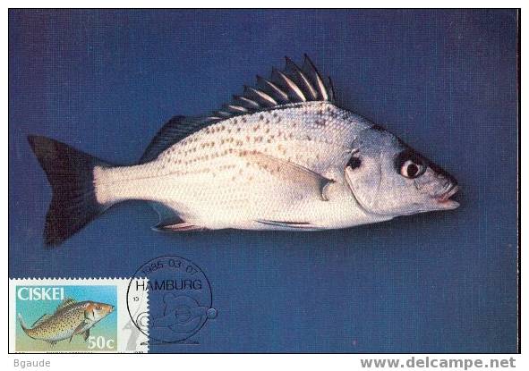 CISKEI   CARTE MAXIMUM NUM.YVERT  73 POISSONS COTIERS - Ciskei