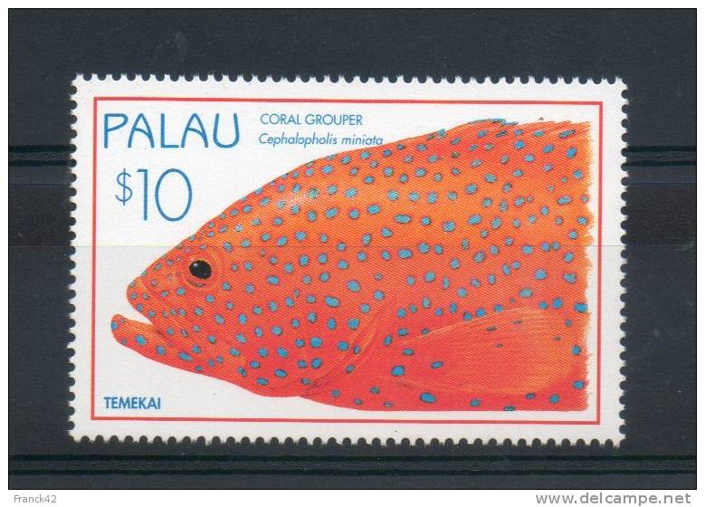 Palau. Poisson. - Palau