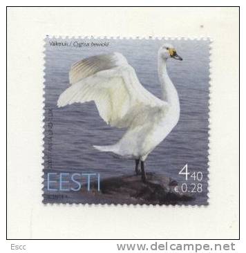 Mint Stamp  Bird Swan  2007  From Estonia - Cisnes