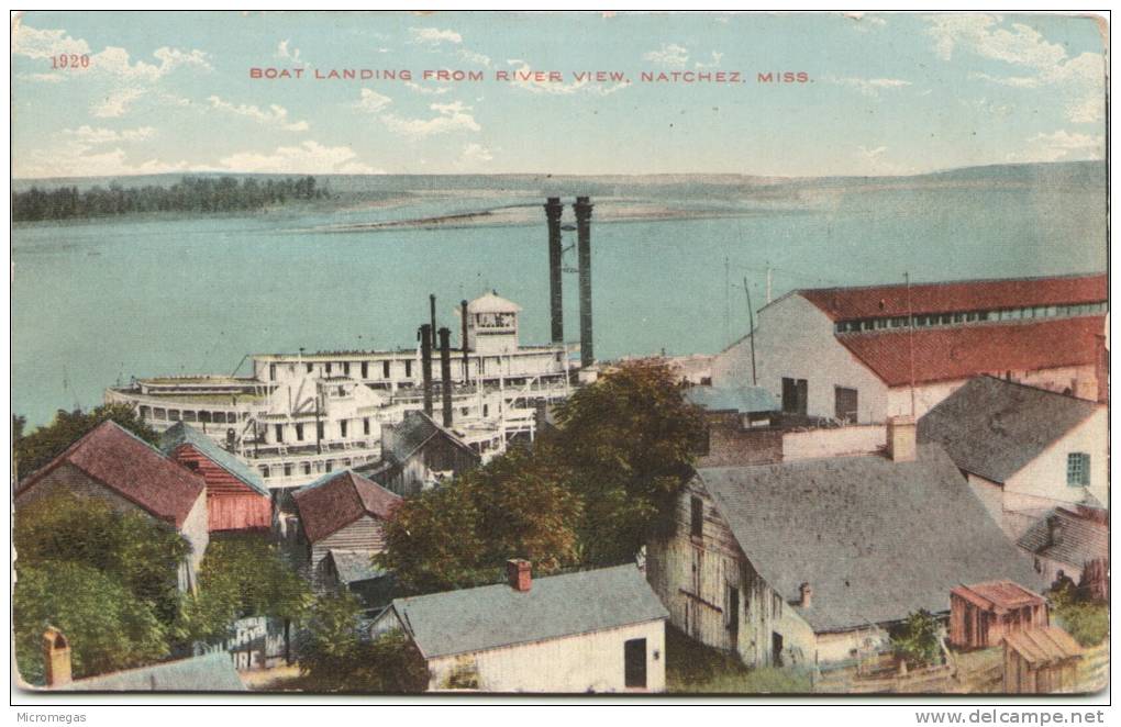 Boat Landing From River View, NATCHEZ - Miss. - Autres & Non Classés