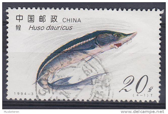 China Chine 1994 Mi. 2521     20 F Fish Fische Sibirischer Hausen - Oblitérés